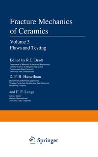 Produktbild: Flaws and Testing