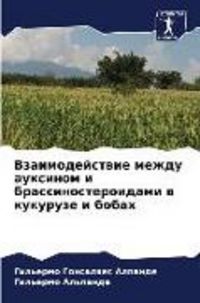 Produktbild: Vzaimodejstwie mezhdu auxinom i brassinosteroidami w kukuruze i bobah
