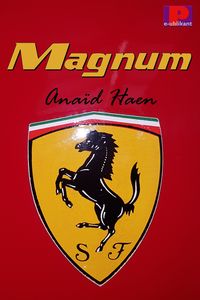 Produktbild: Magnum