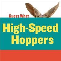 Produktbild: High-Speed Hoppers