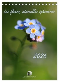 Produktbild: Les fleurs, &eacute;ternelles &eacute;phem&egrave;res (Calendrier de bureau 2026 DIN A5 horizontal), CALVENDO calendrier mensuel