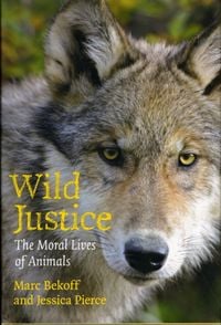 Produktbild: Bekoff, M: Wild Justice