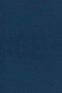 Produktbild: Singular Integrals and Differentiability Properties of Functions