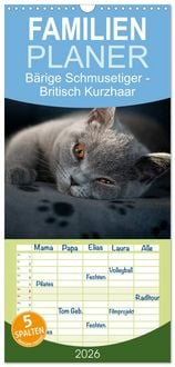 Produktbild: Familienplaner 2026 - B&auml;rige Schmusetiger - Britisch Kurzhaar mit 5 Spalten (Wandkalender, 21 x 45 cm) CALVENDO