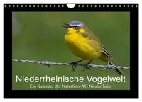 Produktbild: Niederrheinische Vogelwelt (Wandkalender 2026 DIN A4 quer), CALVENDO Monatskalender