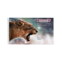 Produktbild: Schmincke AEROCOLOR Kartonset, 5 x 28 ml Melina Wuggonig
