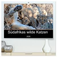 Produktbild: S&uuml;dafrikas wilde Katzen (hochwertiger Premium Wandkalender 2026 DIN A2 quer), Kunstdruck in Hochglanz