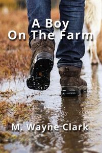 Produktbild: A Boy On The Farm