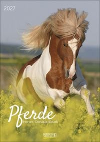 Produktbild: Pferde 2027