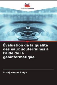 Produktbild: &Eacute;valuation de la qualit&eacute; des eaux souterraines &agrave; l'aide de la g&eacute;oinformatique
