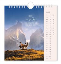 Postkartenkalender 2024 Lichtblicke