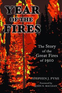 Produktbild: Year of the Fire