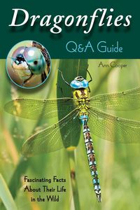 Produktbild: Dragonflies: Q&A Guide