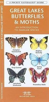 Produktbild: Grt Lakes Butterflies & Moths