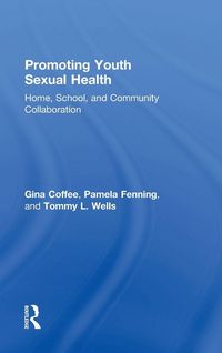 Produktbild: Promoting Youth Sexual Health