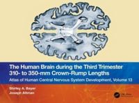 Produktbild: Altman, J: Human Brain during the Third Trimester 310- to 35