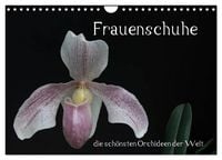 Produktbild: Frauenschuhe - die sch&ouml;nsten Orchideen der Welt (Wandkalender 2027 DIN A4 quer), CALVENDO Monatskalender