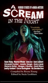 Produktbild: A Scream in the Night