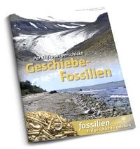 Produktbild: Geschiebe-Fossilien