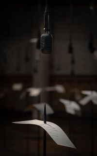 Produktbild: Shilpa Gupta