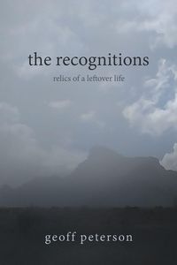 Produktbild: The recognitions