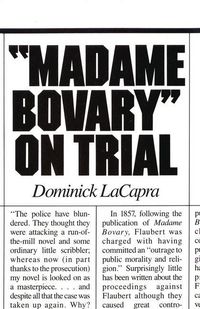 Produktbild: Madame Bovary On Trial