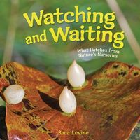 Produktbild: Watching and Waiting