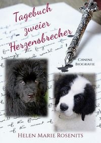 Produktbild: Tagebuch zweier Herzensbrecher