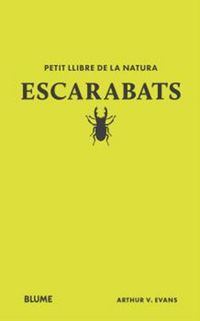 Produktbild: Escarabats