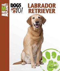 Produktbild: Labrador Retriever