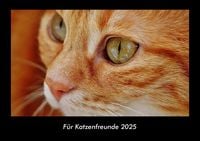 Produktbild: F&uuml;r Katzenfreunde 2025 Fotokalender DIN A3