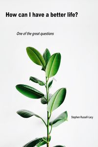 Produktbild: How Can I Have a Better Life (The Great Questions of Life, #4)