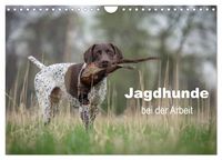 Produktbild: Jagdhunde bei der Arbeit (Wandkalender 2027 DIN A4 quer), CALVENDO Monatskalender