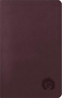 Produktbild: ESV Reformation Study Bible, Condensed Edition - Plum, Leather-Like