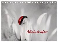 Produktbild: Gl&uuml;cksk&auml;fer (Wandkalender 2027 DIN A4 quer), CALVENDO Monatskalender