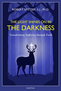 Produktbild: The Light Shines on in the Darkness