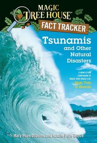 Produktbild: Tsunamis and Other Natural Disasters
