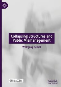 Bild vom Artikel Collapsing Structures and Public Mismanagement vom Autor Wolfgang Seidel