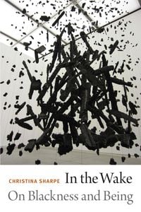 Produktbild: In the Wake