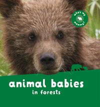 Produktbild: Animal Babies in Forests