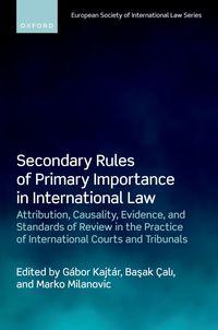Produktbild: Secondary Rules of Primary Importance in International Law