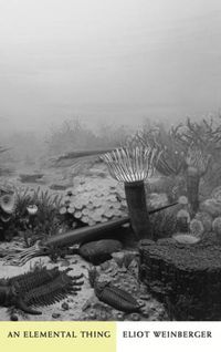 Produktbild: An Elemental Thing