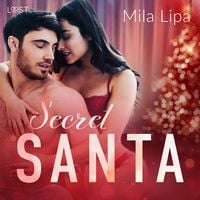 Produktbild: Secret Santa &ndash; erotisk novell