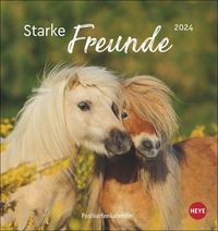 Bild vom Artikel Pferde - Starke Freunde Postkartenkalender 2024. Pferdefotografin Sabine Stuewer setzt die edlen Tiere in einem kleinen Kalender perfekt in Szene. Hoc vom Autor Sabine Stuewer