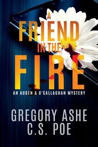 Produktbild: A Friend in the Fire (An Auden & O'Callaghan Mystery, #2)