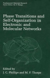 Produktbild: Phase Transitions and Self-Organization in Electronic and Molecular Networks