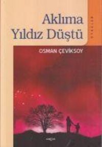 Produktbild: Aklima Yildiz D&uuml;st&uuml;