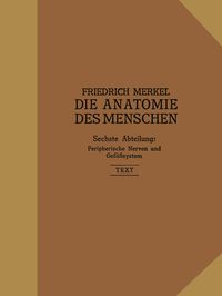 Produktbild: Peripherische Nerven, Gef&auml;&szlig;system