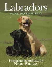 Produktbild: Labradors