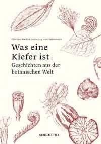 Produktbild: Was eine Kiefer ist
